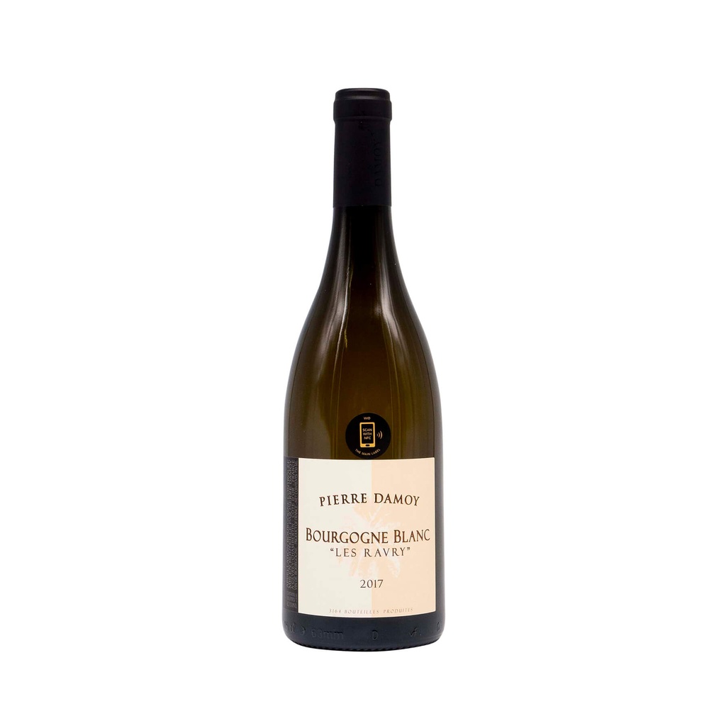 Domaine Pierre Damoy Bourgogne Blanc "Ravry" 2017