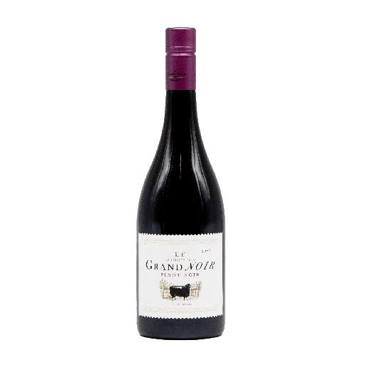 [GNOIR03_22_0750] Le Grand Noir IGT Pinot Noir 2022